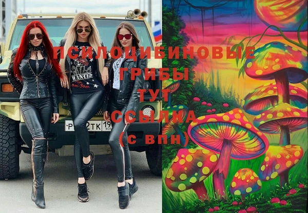мет Щигры