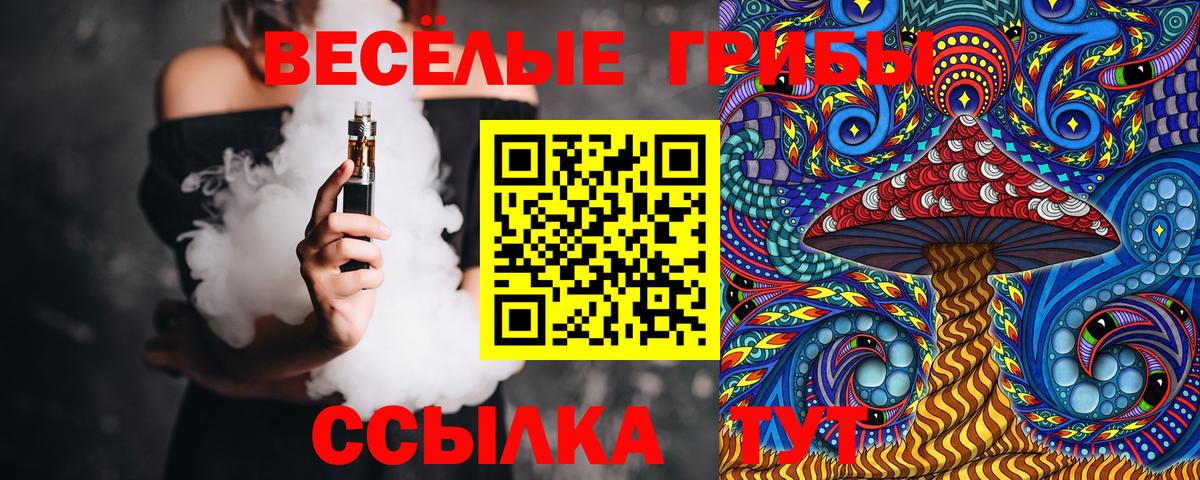 Псилоцибиновые грибы прущие грибы  Псилоцибиновые грибы Cubensis  Знаменск 