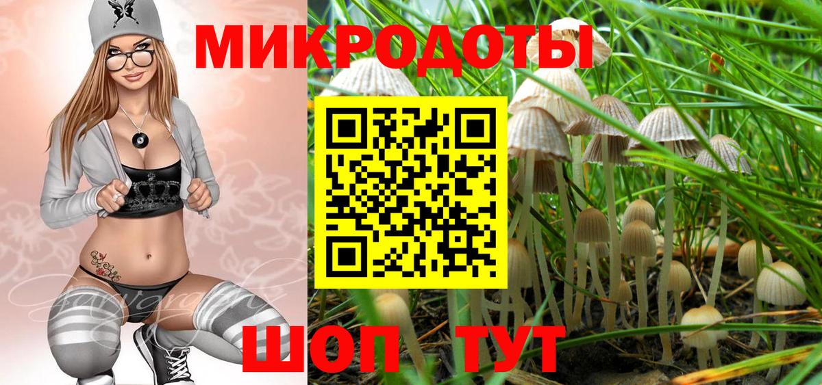 Галлюциногенные грибы Psilocybine cubensis  Псилоцибиновые грибы мицелий  Вход с VPN  Знаменск 